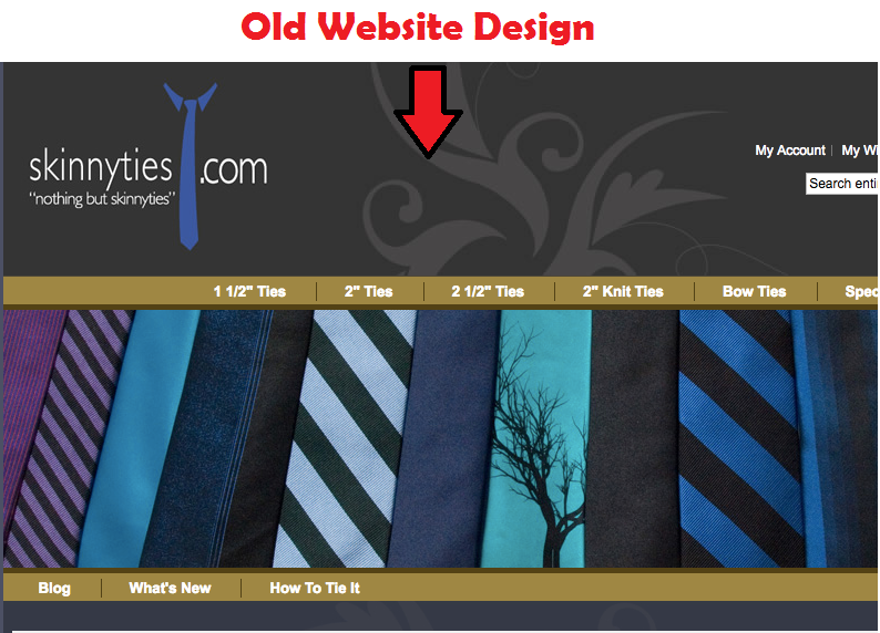 A Web page showing the old design of Skinnyties.com. Their webpage was kind of old fashioned for their business website