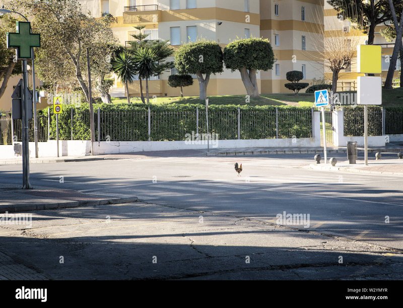 Chicken road 2 casino in Spain